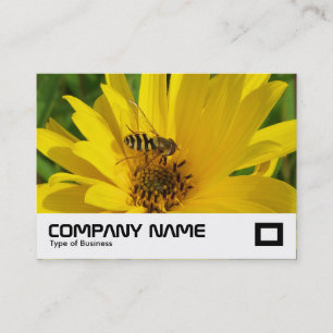 Hover Fly on a Yellow Chrysanthemum Business Card