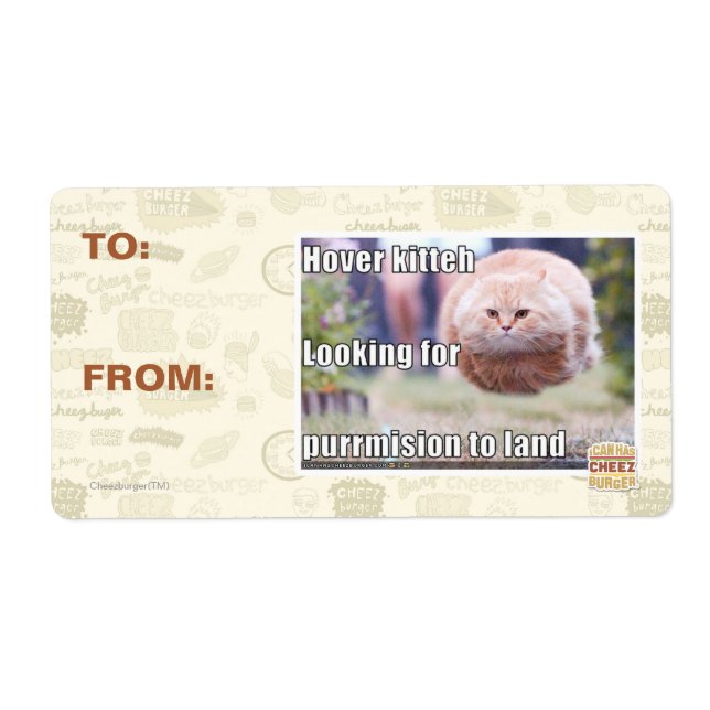 Hover kitteh (Front)