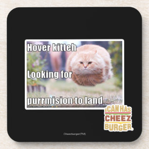 Hover kitteh coaster