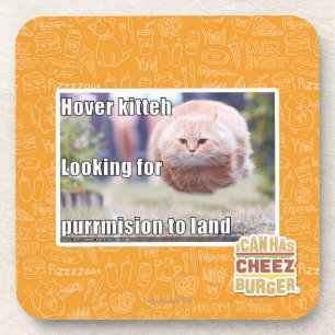 Hover kitteh coaster