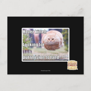 Hover kitteh postcard