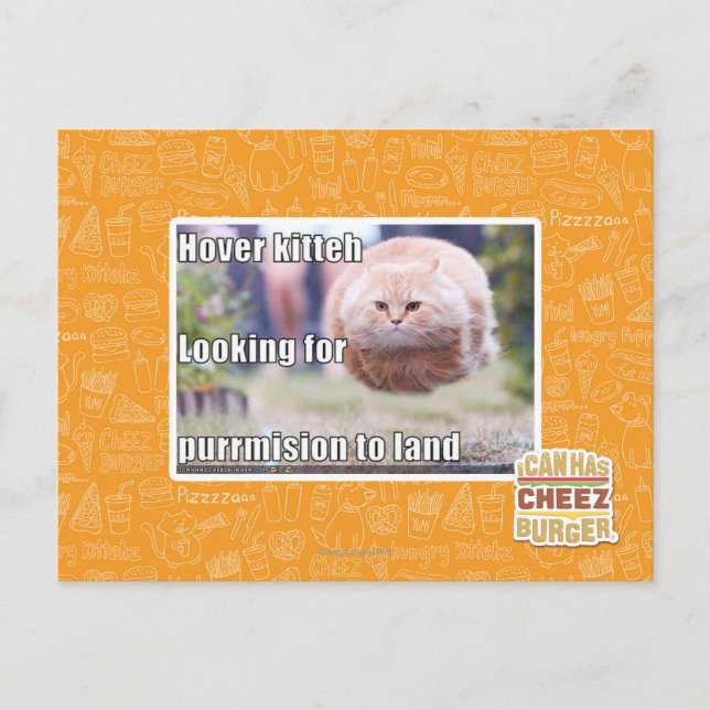 Hover kitteh postcard (Front)