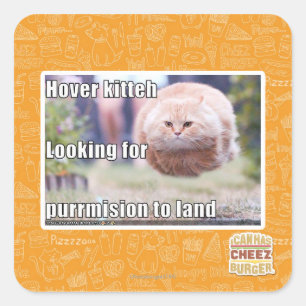 Hover kitteh square sticker