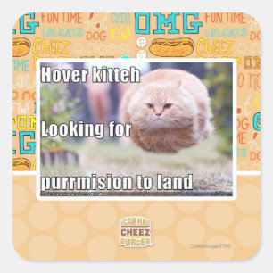 Hover kitteh square sticker