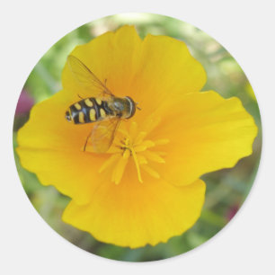 Hoverfly and Californian Poppy Stickers