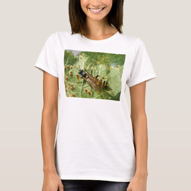 Hoverfly Ladies T Shirt (Front)