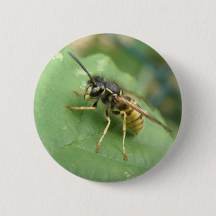 Hoverfly Macro Button