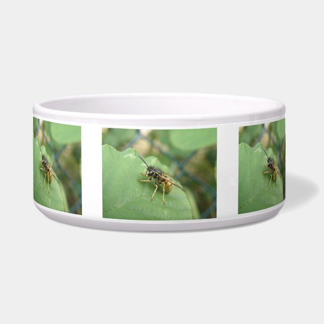 Hoverfly Macro Dog Bowl (Front)