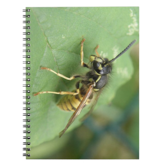 Hoverfly Macro Notebook (Front)