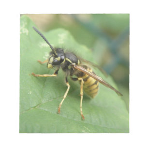 Hoverfly Macro Notepad