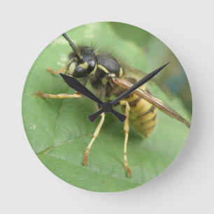 Hoverfly Macro Wall Clock