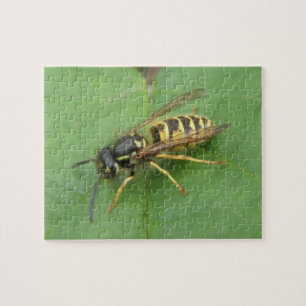 Hoverfly on a Leaf Puzzle