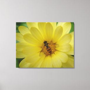 Hoverfly on a Marigold Canvas Print