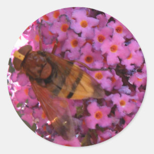 Hoverfly Sticker