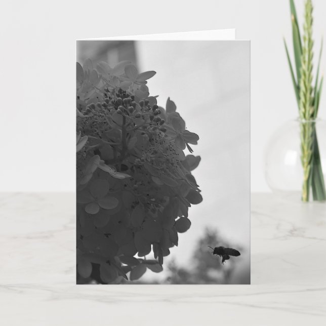 Hovering Honey Bee, card (Front)