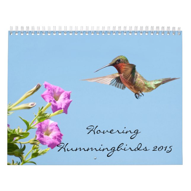 Hovering Hummingbirds 2015 Calendar (Cover)
