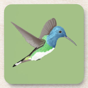 Hovering Jacobin Hummingbird - transparent. Coaster