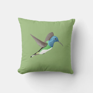 Hovering Jacobin Hummingbird - transparent.    Cushion