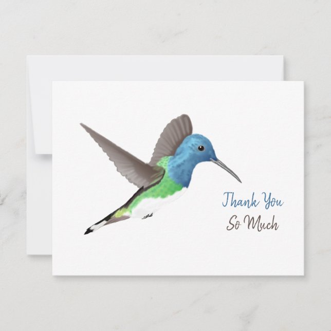 Hovering Jacobin Hummingbird - transparent. Thank You Card (Front)
