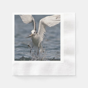 Hovering Kittiwake Napkin