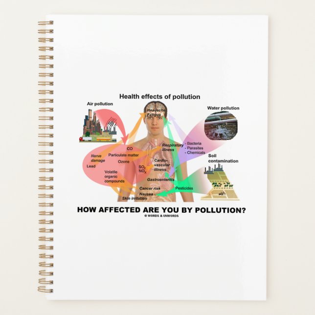How Affected Are You By Pollution? Physiology Planner (Front)