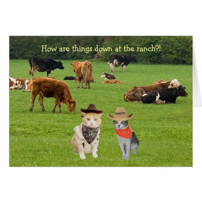 How are things down at the ranch?! (Front Horizontal)