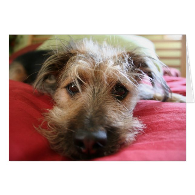 How are you? (Front Horizontal)