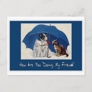 how are you doing my friend postcard? postcard