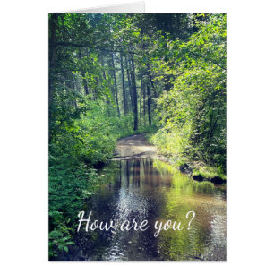 How are you? Forest Lake Wilderness Peaceful Scene