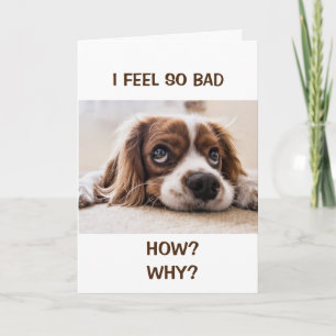 HOW COULD I? FEEL SO BAD BELATED BIRTHDAY CARD