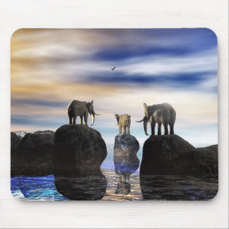 how did he get there, fred? mouse pad