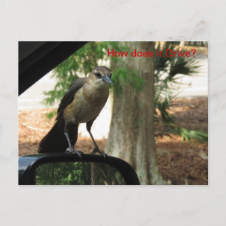 How Does it Drive Postcard