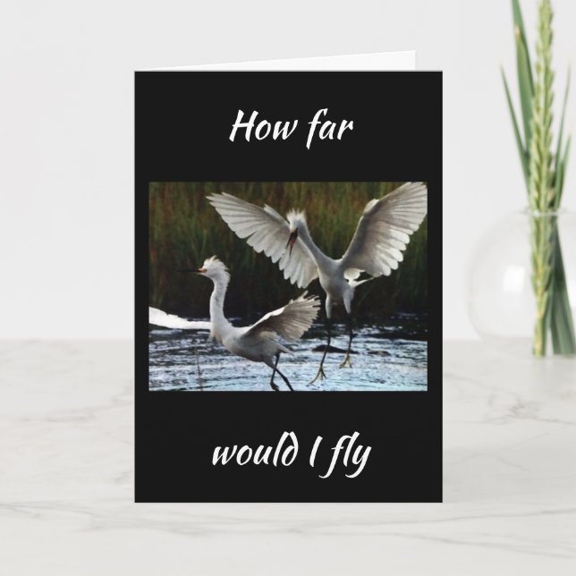 HOW FAR WOULD I FLY TO SAY *HAPPY BIRTHDAY* CARD (Front)