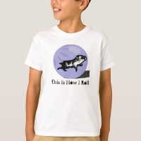 How I Roll - Hamster Ball