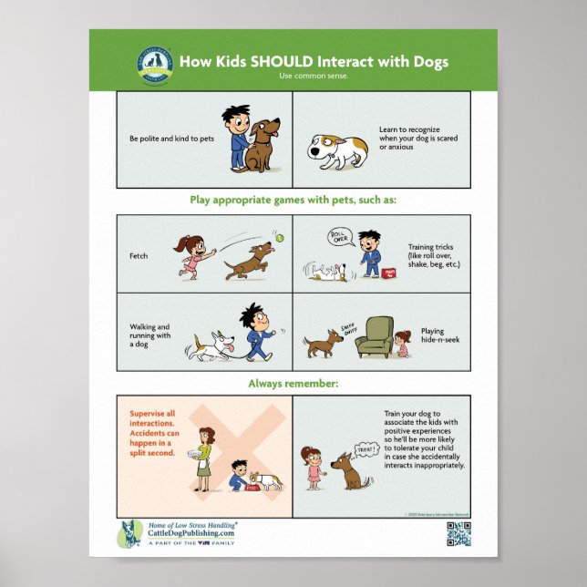 How Kids SHOULD Interact with Dogs Poster (Front)