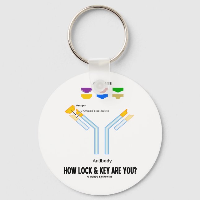 How Lock And Key Are You? (Antigen Antibody) Ring (Front)