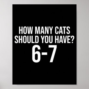 How Many Cats Should You Have 6-7 Funny 67 Meme Ca Poster