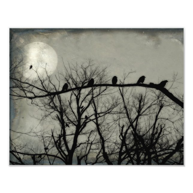 How Many Crows Can You Find Photo Print (Front)