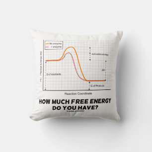 How Much Free Energy Do You Have? Chemistry Humour Cushion