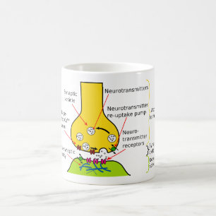 How Nerve Signals Are Sent With Synapses Diagram Coffee Mug