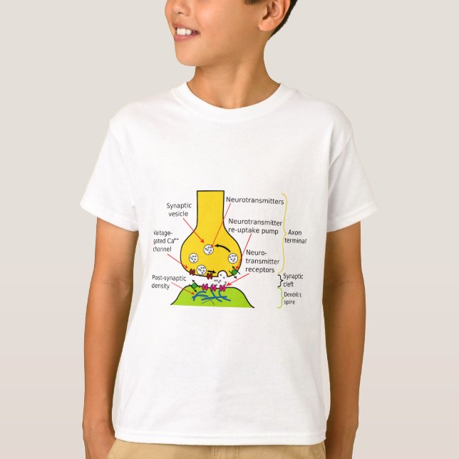 How Nerve Signals Are Sent With Synapses Diagram T-Shirt (Front)