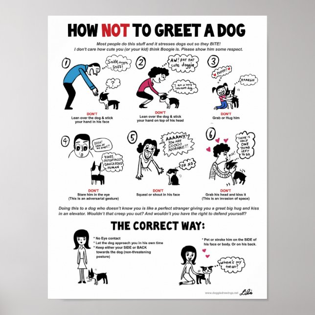 How Not To Greet A Dog (11" x 14") Kid-Friendly Poster (Front)