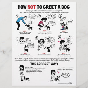 How Not To Greet A Dog - 8.5" x 11" flyers