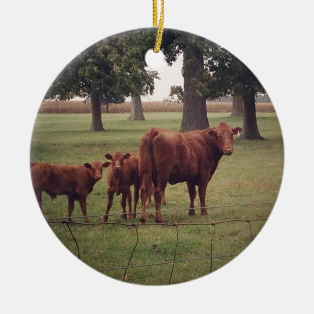 How Now Brown Cow Ceramic Tree Decoration (Front)