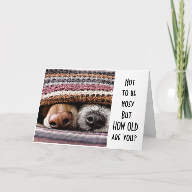 *HOW OLD ARE YOU?* SAYS NOSY PUPS HAPPY BIRTHDAY CARD (Front)