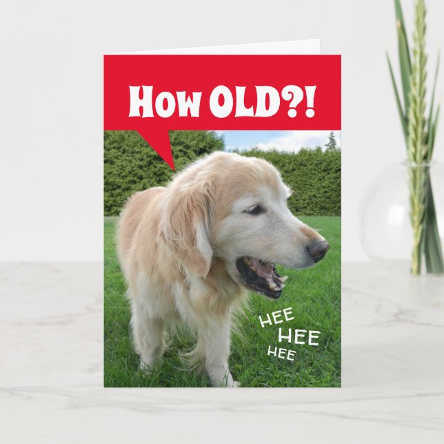 How OLD?! Laughing Golden Retriever Dog Birthday Card (Front)