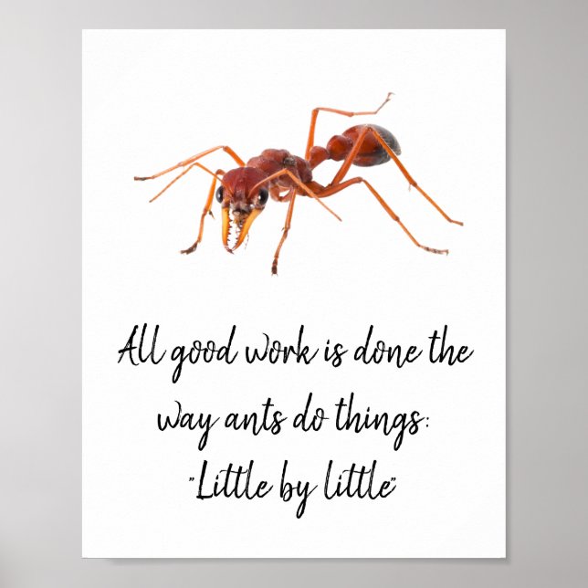 How the ants work poster (Front)