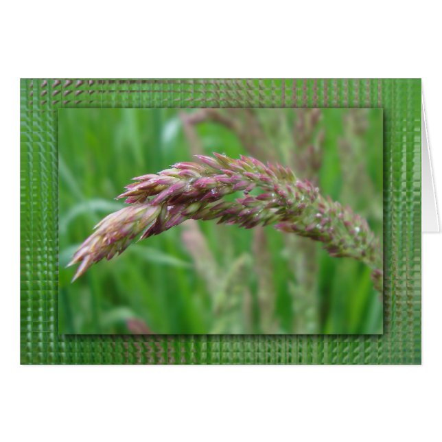 How the Grass Grows Card (Front Horizontal)