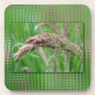 How the Grass Grows Cork Coaster