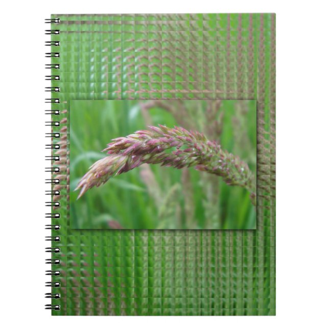How the Grass Grows Notebook (Front)